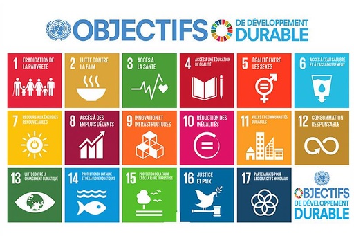 Comprendre les objectifs des nations unies pour le développement durable